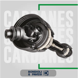 Cardan Homosinetico
