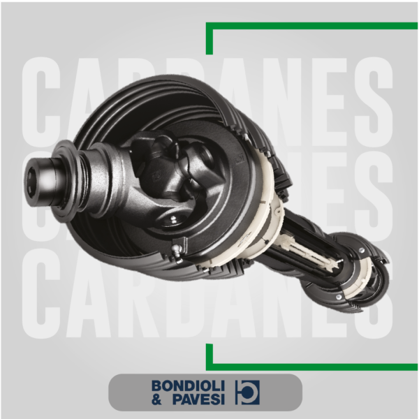 Cardan Homosinetico