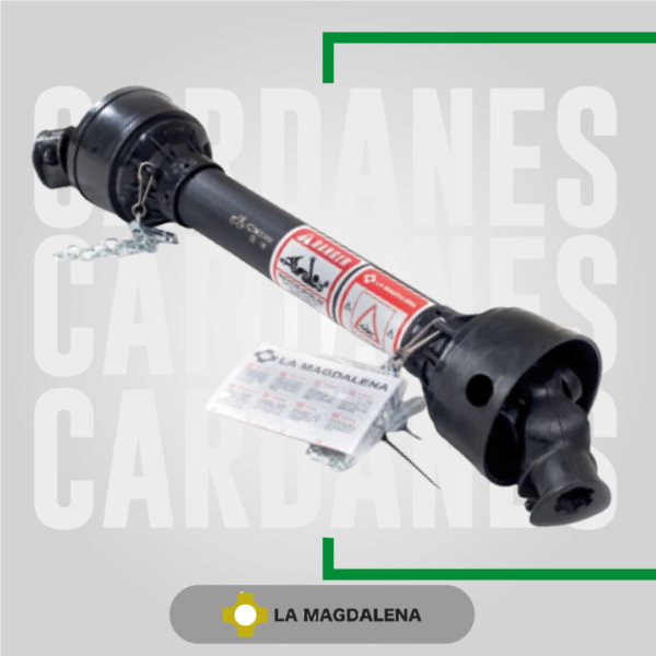 Cardan Modelo 7